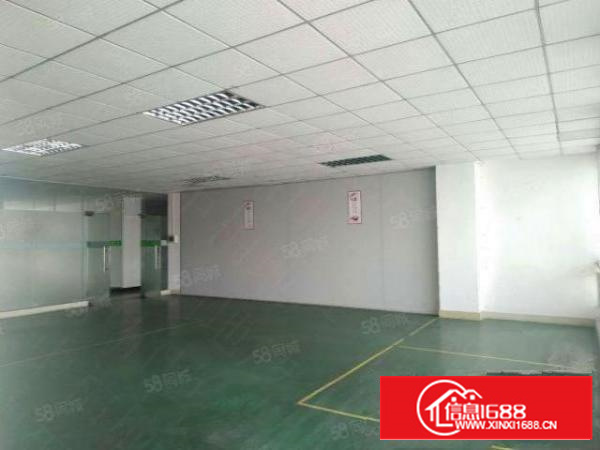 石龙坑大型工业园4300平方厂房招租，带地喷漆，12元全包！