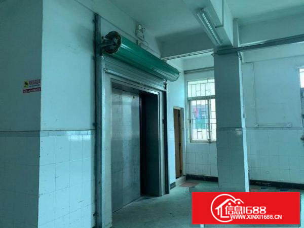 屋主直租不是中介带电梯600平/层