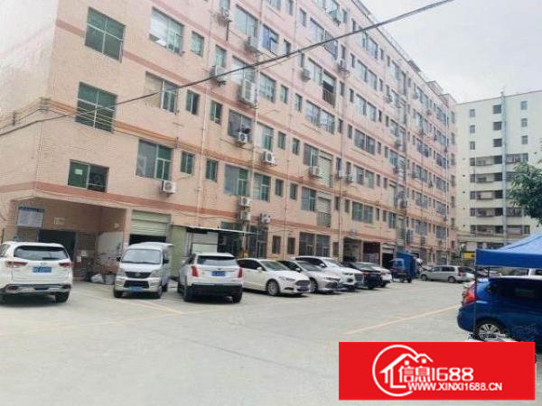 观澜观光路边新出楼山240平，租带17白菜价格，欢迎来电。