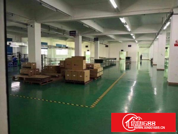 坪山坑梓独院厂房出租4800平，带红本实际面积出租