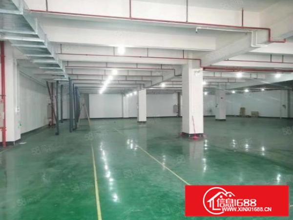 杏坛智富园楼上1560方厂房带装修