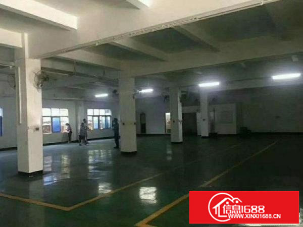 出租坪山新区坪山花园式厂房2楼850平方