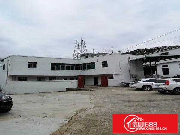 横岗深坑2000平米6米一楼出租