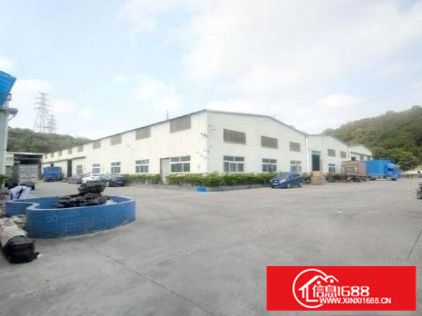 大朗独院超靓钢构5500平原房东厂房出租！可分租，滴水8米