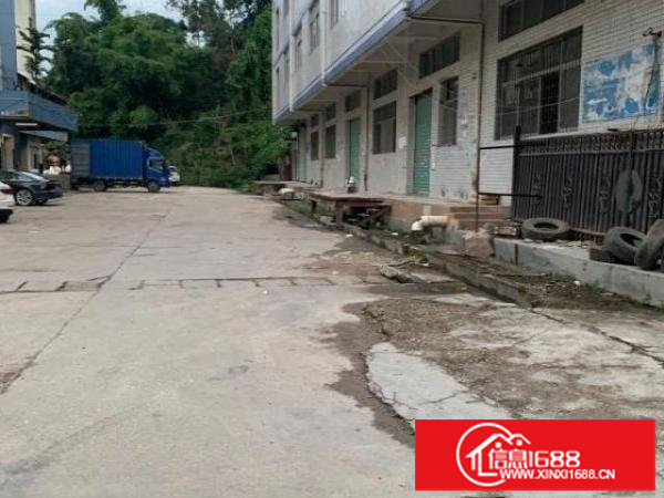 布吉正地铁口一楼1100平米带卸货平台，可分租，空地超大