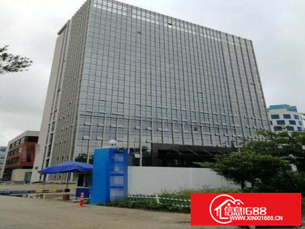 新出红本大厦招租，可做公司部、酒店、医院、学校