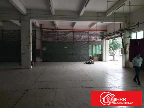 容桂标准800厂房出租、形象好、招工易、近大马路