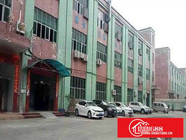 常平朗贝新出楼上1000平带装修厂房出租