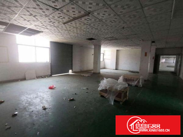 寮步向西原房东标准独院厂房分租一楼600平方.