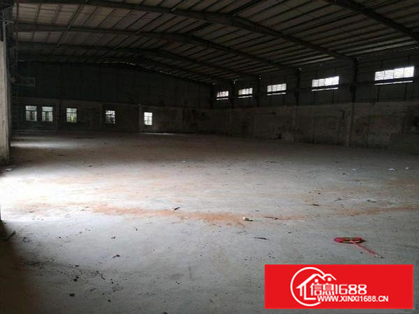 茶山镇独院钢构厂房出租