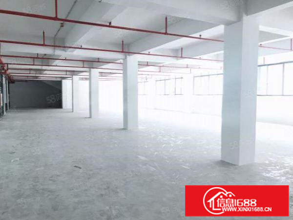 清溪谢坑原房东全新楼上1000平方带现成装修交通便利