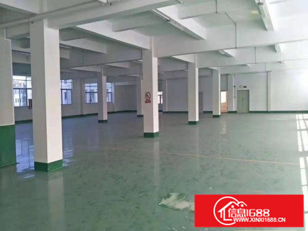 （招租）大朗工业园新空出标准3楼1000平厂房，带豪华装修