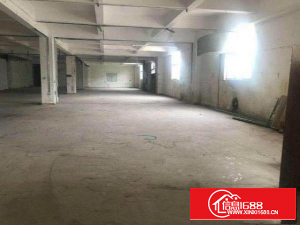 茶山茶山村直租厂房800平方交通便利