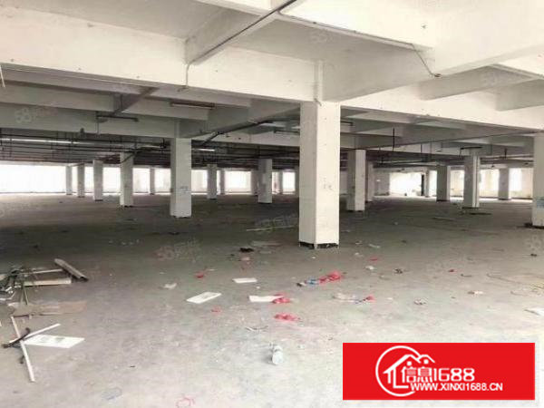 新安大桥单层6500平带红本可分租