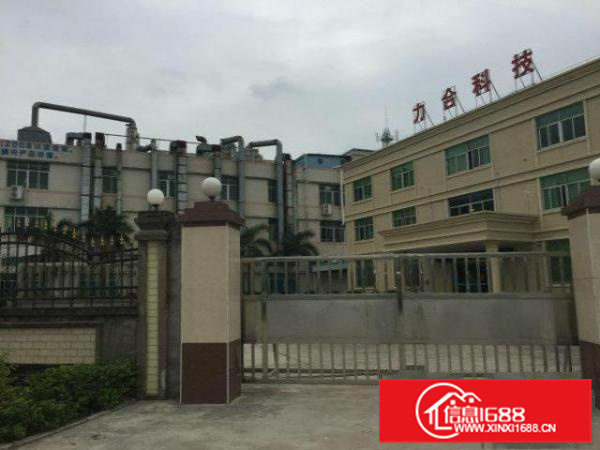 沥林高速路口11500平超靓厂房出租