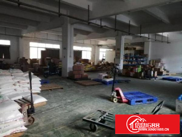 万江标准厂房仓库一楼250～500平方出租