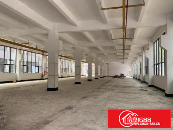 李朗小独院厂房700平方一层可分租有电梯