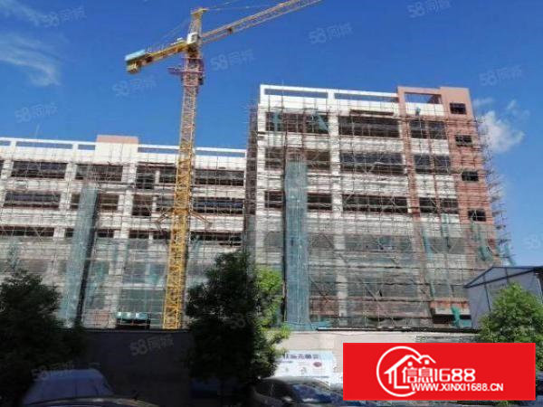 桥头新出原房东独门独院带红本工业用地标准全新厂房