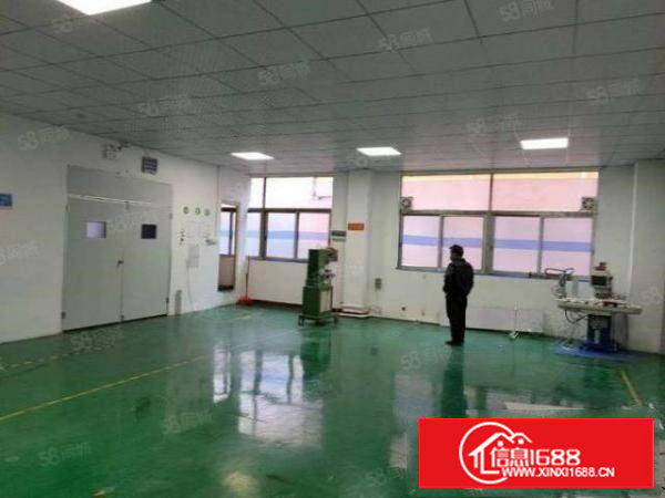 厦岗新空出楼上带装修350平水电齐全厂房招租