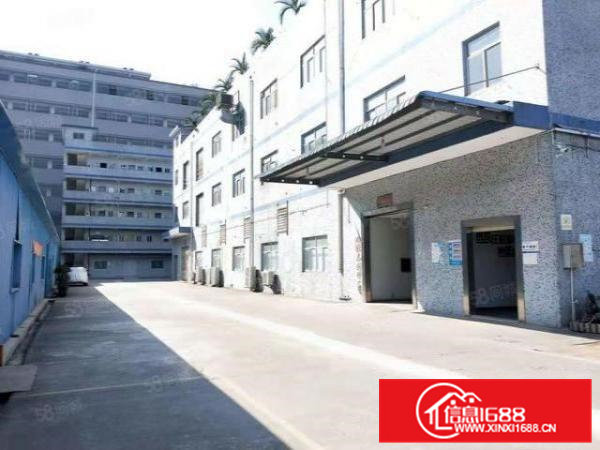 清溪大利11000平方独院标准厂房出租