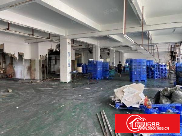 万江上甲工业园一楼1000平米带装修