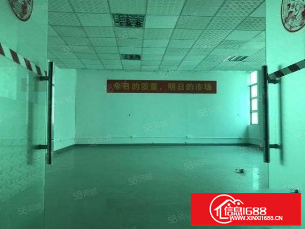 龙华大浪高新产业园新出整栋6500独院厂房招租