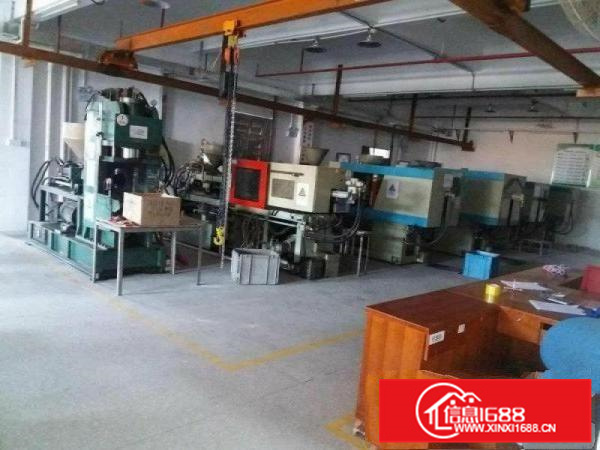 平潭新建花园式独院厂房13400平方出租（可分租）