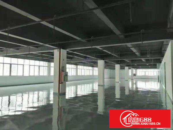 大朗沙步出租精装修厂房1000平，200平起分，装修九成新