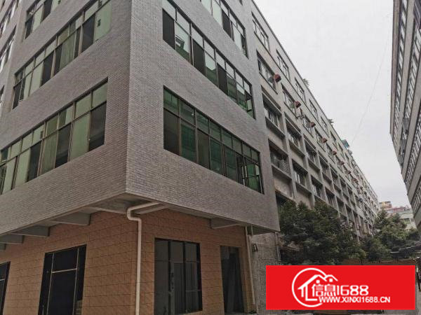 大朗中心原房东招租适合用于仓库