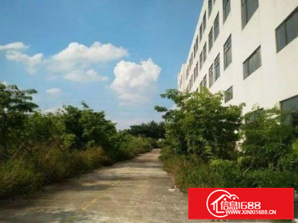 近番禺，大路边独院新建厂房，形象好，独立办公宿舍