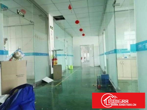 坪山碧岭新出1180平楼上整层标准厂房低价出租