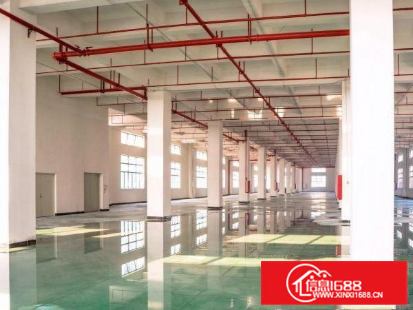 出租位于常平司马新建厂房，可以分层租