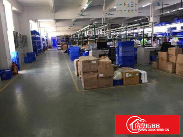 塘厦3000平2000平厂房出租13元3吨电梯