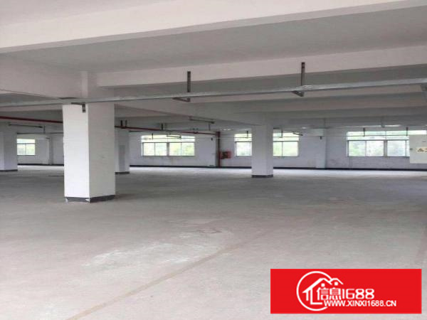 坂田整栋独院可办环评大小分租