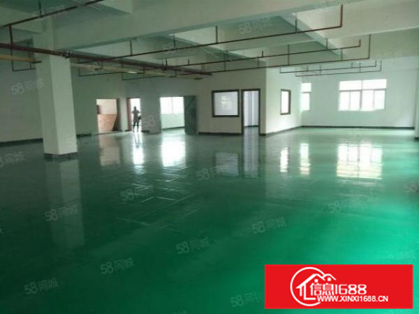 有证，可办环评，均安独院3600方带办公装修厂房，形象好！