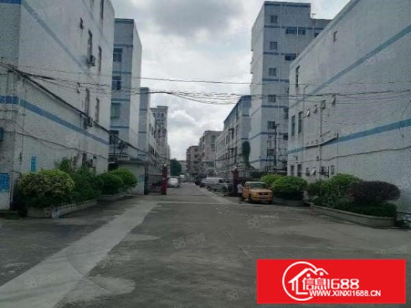 观澜新田.村委厂房.地铁口附近独院.3700平方厂房.带电梯