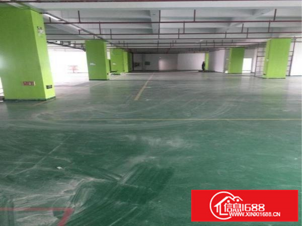 坂田300平方500平方