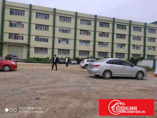 塘厦大坪高速出口10000平独院物流仓库厂房出租可分租