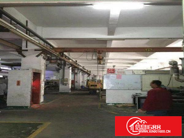 坂田原房东厂房1楼1000平2楼3000平出租可分租