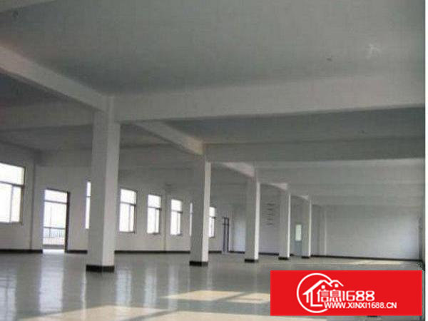 常平陈屋贝新出独院厂房4300平招租，格局方正