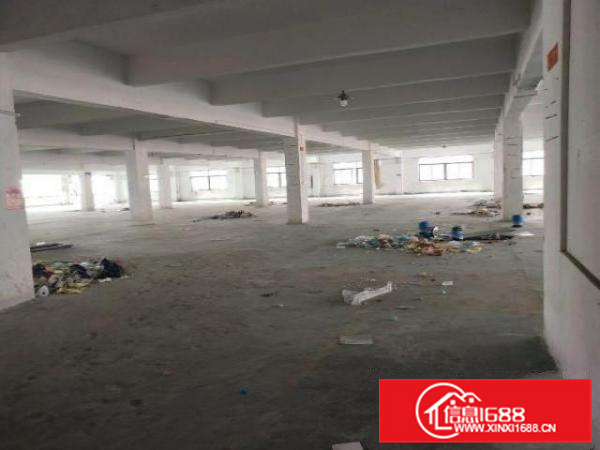 容桂华口高新区，红本厂房，环评秒过