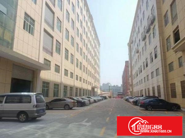 大岭山大塘新建厂房每层2350平带牛角消防喷淋