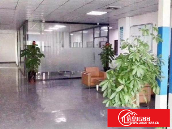 坪山全新红本精装厂房2600平方可分租一半可申请房屋补贴