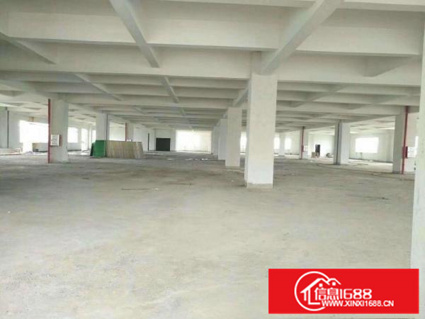 标准厂房出租国有工业用地可办环评工业区厂房易招工可分租