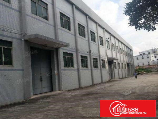 桥头大洲新出原房东独栋3800平方出租滴水7米