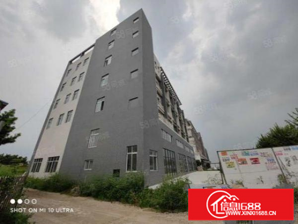 有证，可办环评，大良新建标准独院厂房出租，客分租