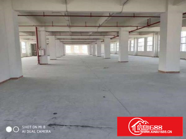 (出租）新建厂房，带消防喷淋，工业用地可办环评500起分