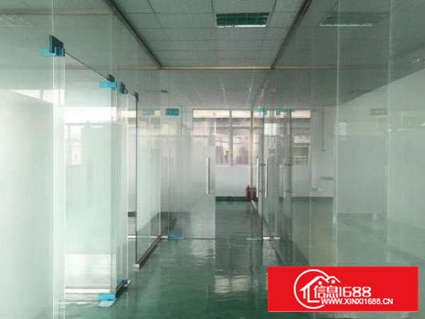 原房东厂房在后亭地铁口独院1-3楼单层880平方无公摊带