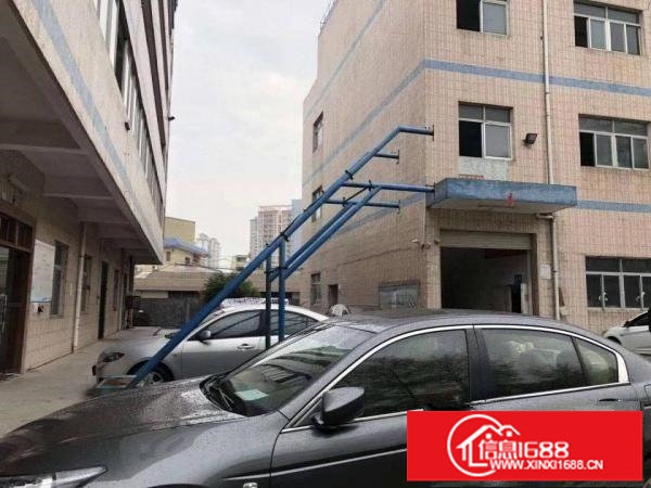 龙岗坪地坪西红本独院厂房招租6500平米