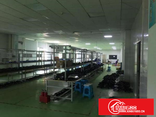 实际面积独门独院，分租二楼一层实际面积精装修，空地大停车便利